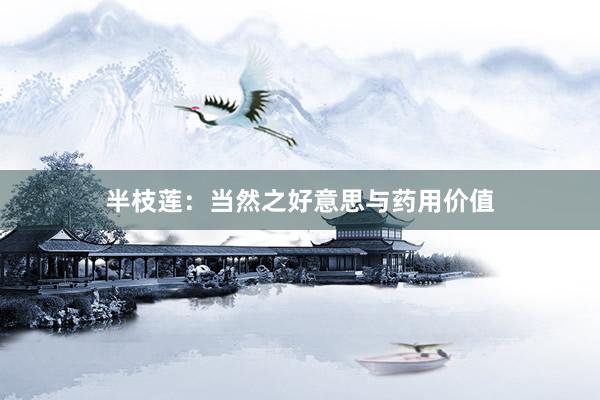 半枝莲:当然之好意思与药用价值