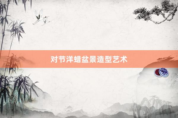 对节洋蜡盆景造型艺术