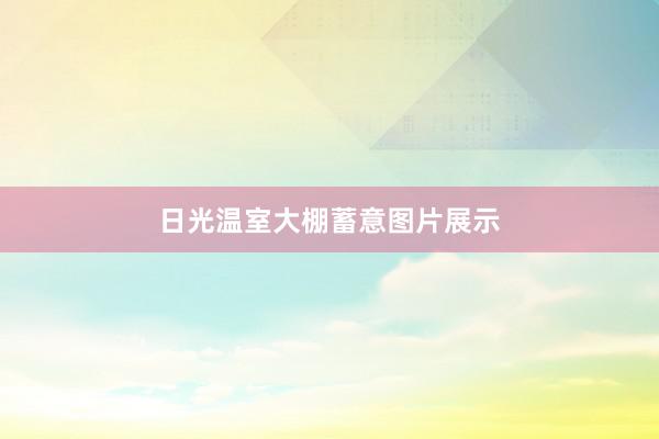 日光温室大棚蓄意图片展示