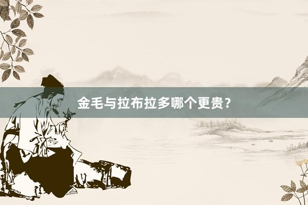 金毛与拉布拉多哪个更贵？