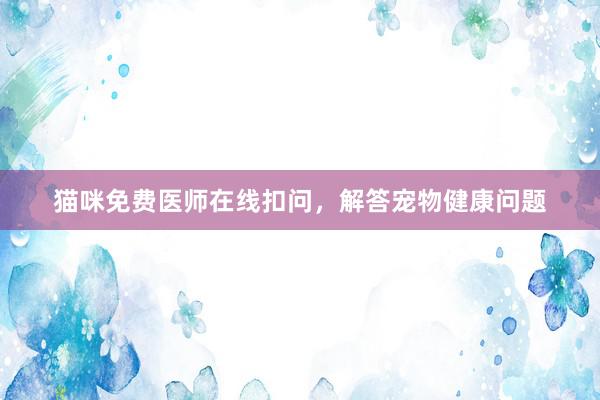 猫咪免费医师在线扣问，解答宠物健康问题
